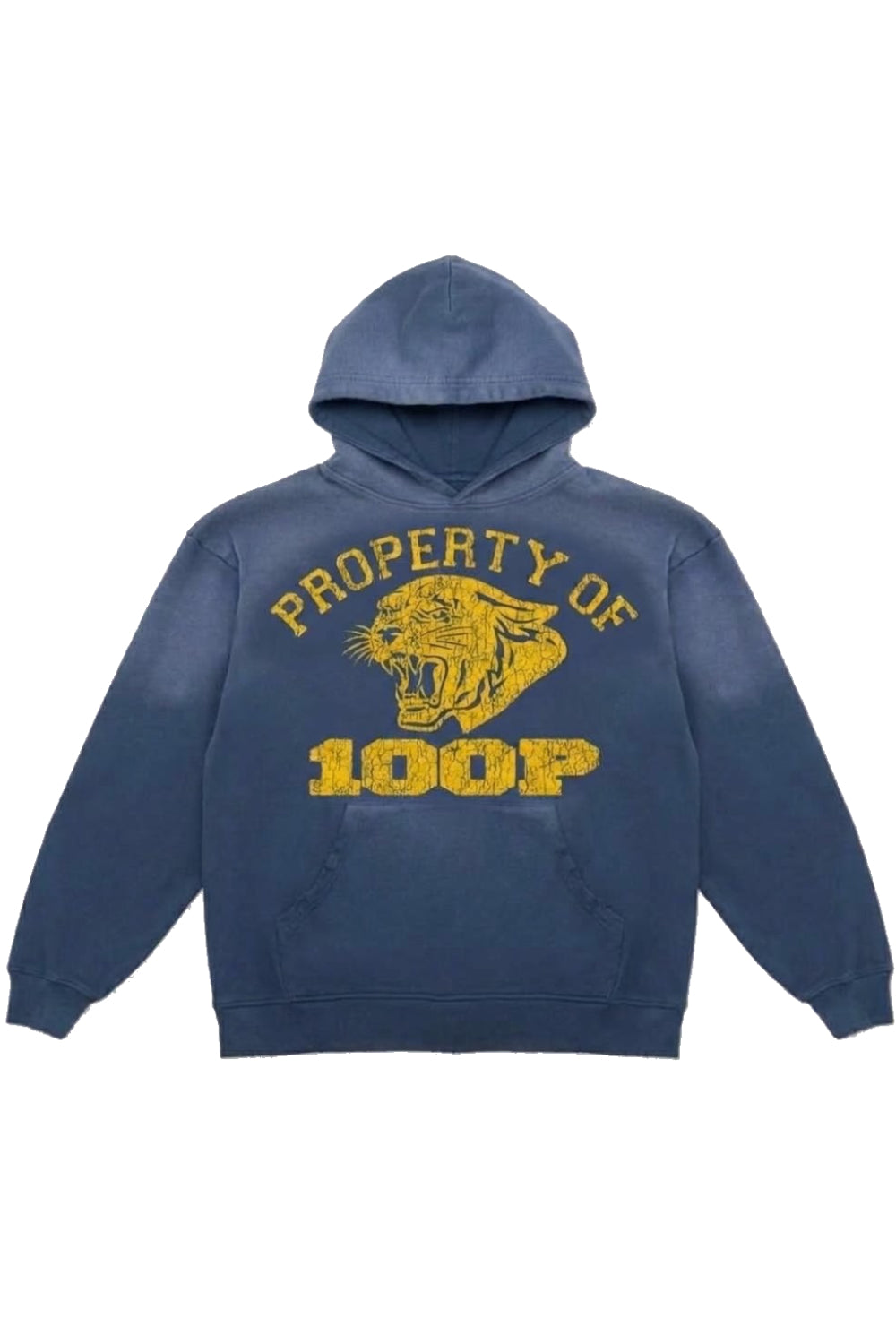100 P VARSITY HOODIE