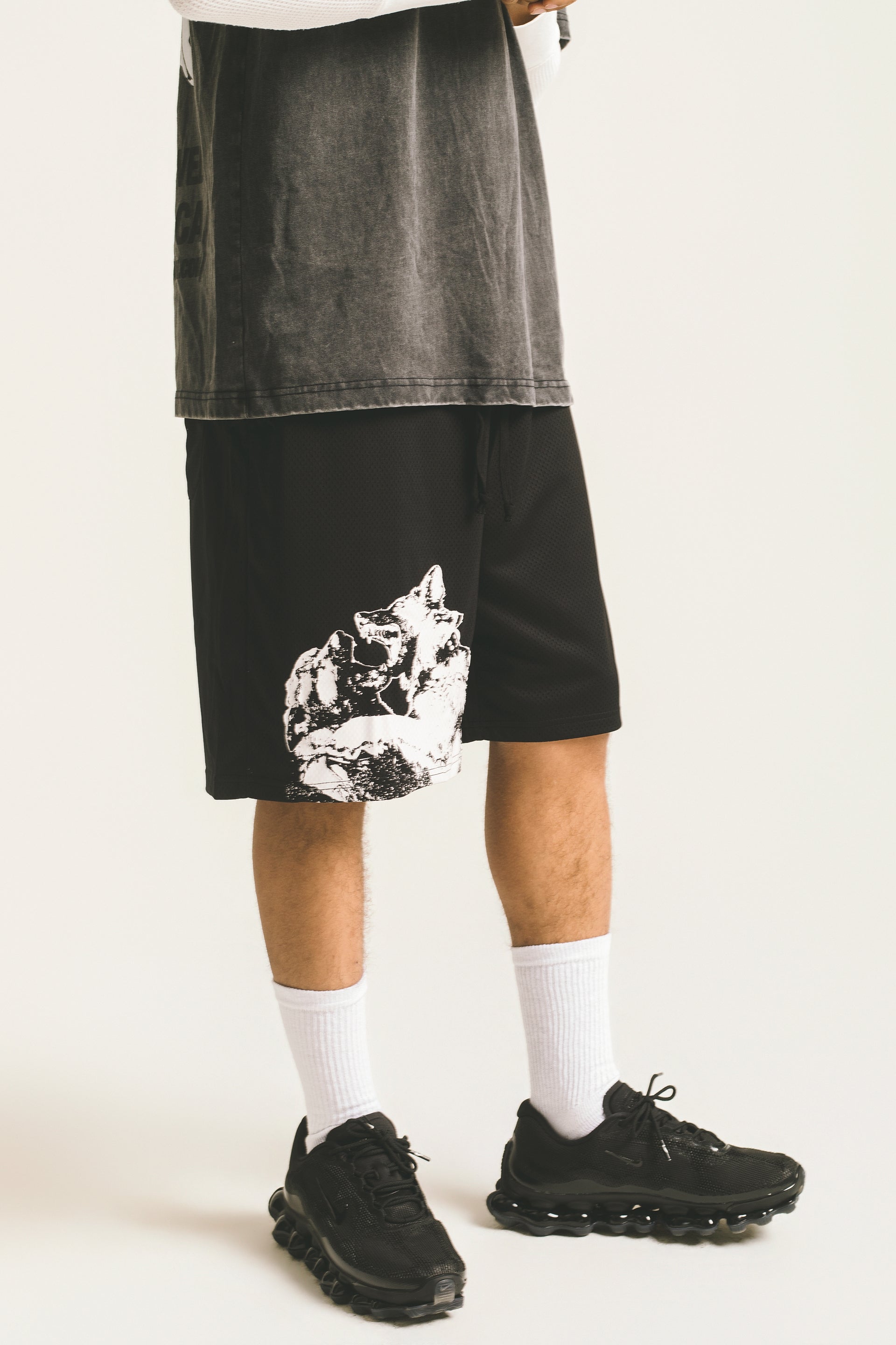 Dogfight Mesh Shorts