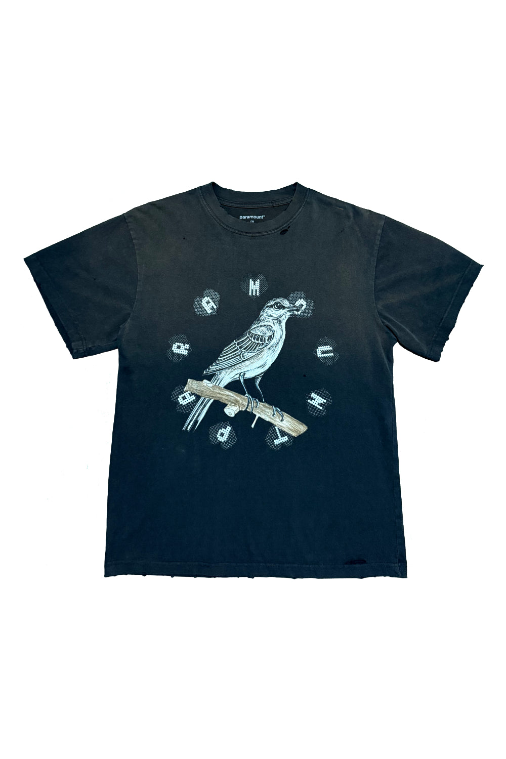 Vintage Treated Mocking Bird Tee - 2 Colors