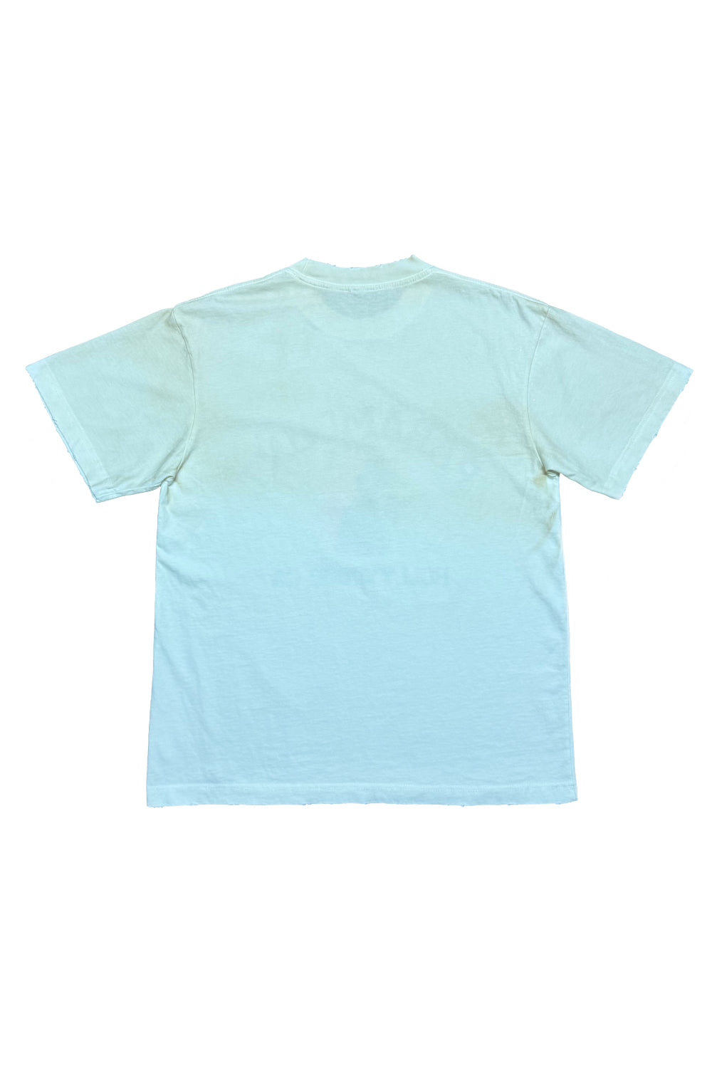 Vintage Treated Pater Sato Tee - 2 Colors